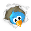 twitter 29
