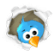 twitter 29
