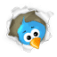 twitter 29