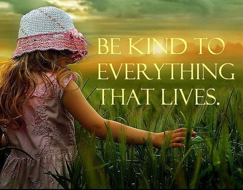 be_kind